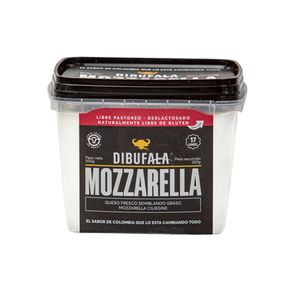 Queso Dibufala mozzarella ciliegine x480g
