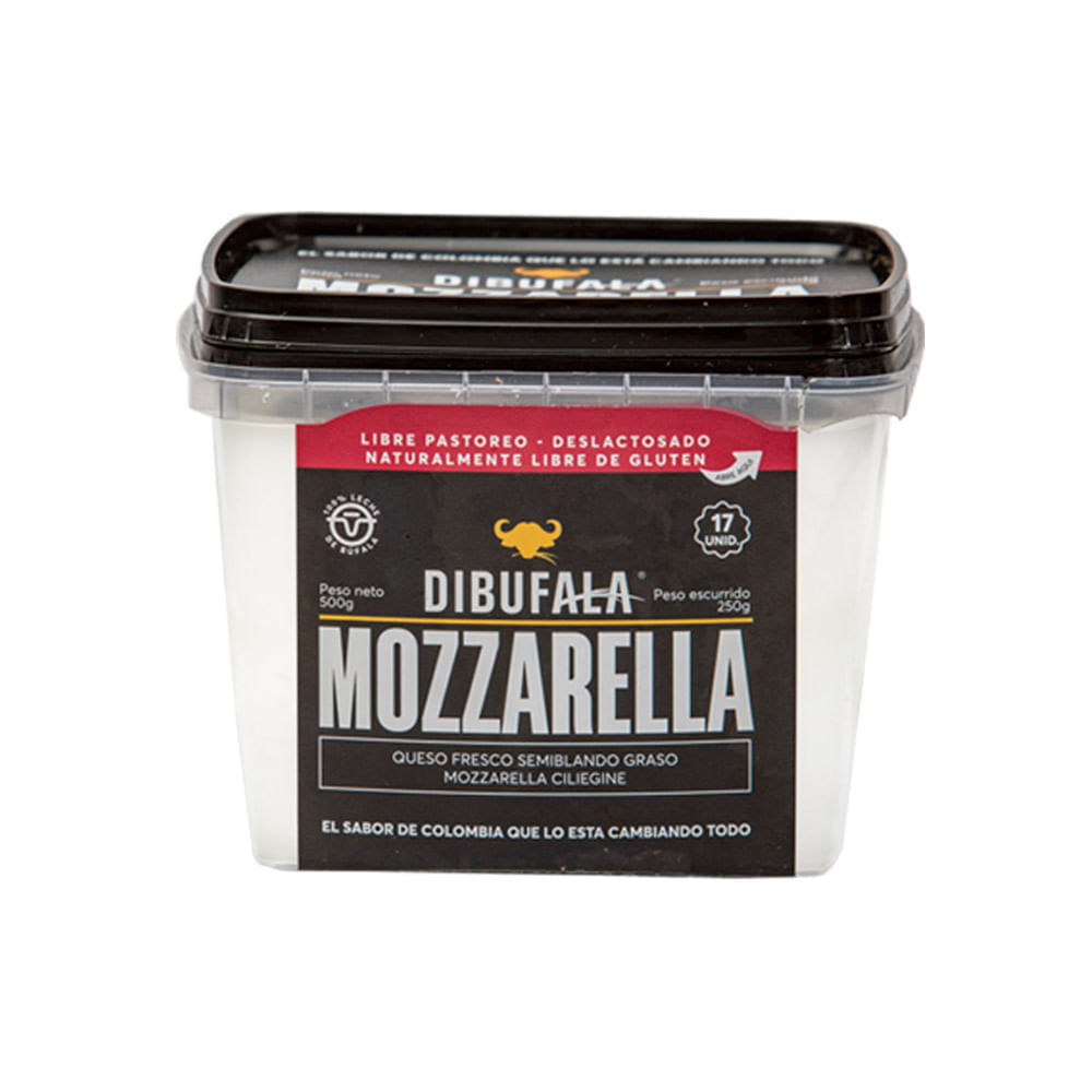 Queso Dibufala mozzarella ciliegine x480g