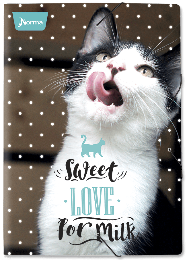 Carpeta escolar dogs Norma