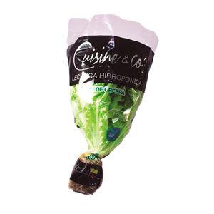 Lechuga verde crespa cuisine & co