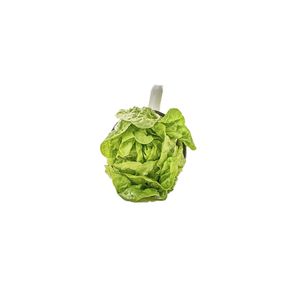 Cogollo europeo x 250gr