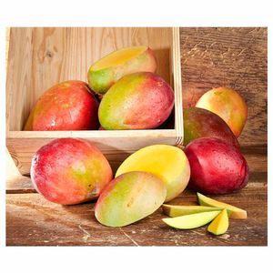 Mango Tommy x 500 gr