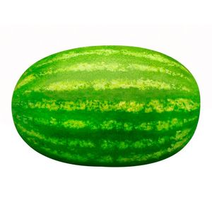 Patilla común x 6kgr