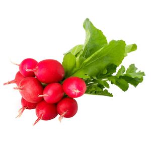 Rábano paquete x 500gr