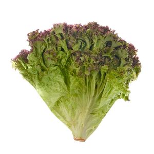 Lechuga morada x200gr