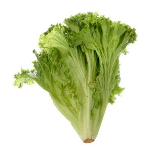 Lechuga crespa x200gr