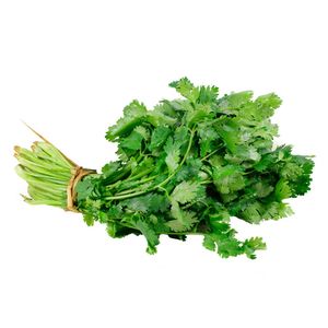 Cilantro x 100gr