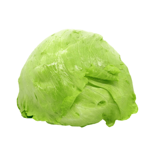 Lechuga Batavia xund