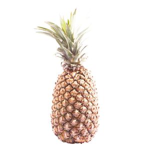 Piña Mayanes X Un