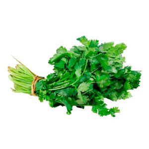 Cilantro x100gr