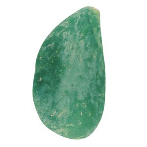 Nopal (hoja de higro) x 1 kg