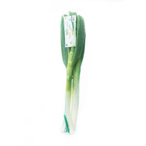 Cebolla junca ecológica x500gr