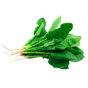 Espinaca Bogotana Orgánica