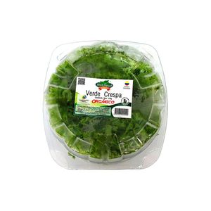 Lechuga verde crespa ecológica x120gr
