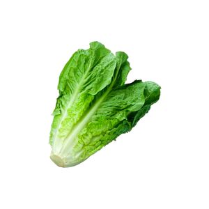Lechuga romana ecológica x120gr