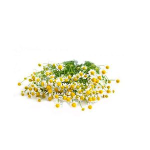 Manzanilla Naturomar fresca x85gr