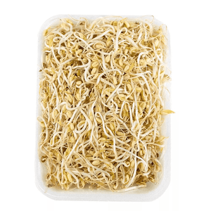 Raíz China x150gr
