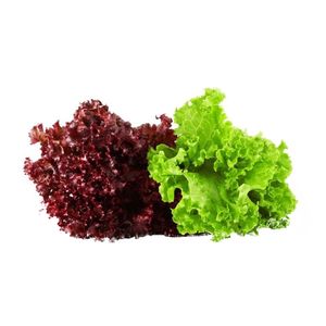 Lechuga Tropical x200gr