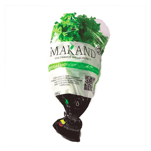 Lechuga crespa hidropónica x180gr