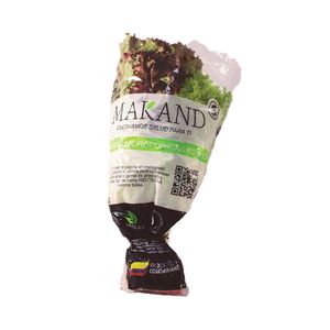 Lechuga tropical hidropónica Kosher x 180 gr