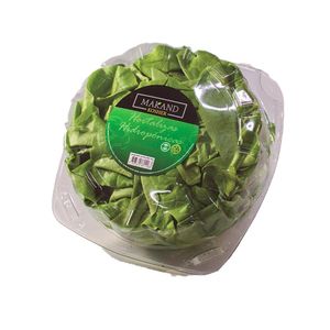 Lechuga verde lisa pet x 130 gr