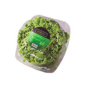 Lechuga verde crespa pet x 130 gr
