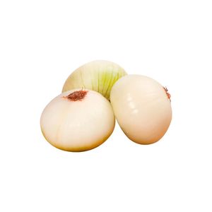 Cebolla blanca para encurtido malla x