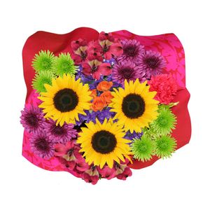 Regalo de la naturaleza 2