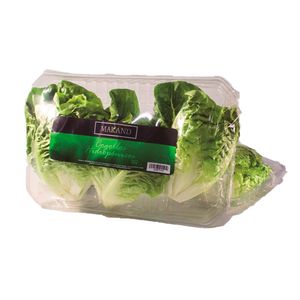 Cogollos hidropónicos Makand x250g