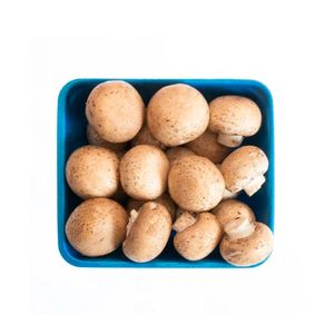 Champiñón entero orgánico setas doradas 250gr