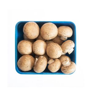 Champiñón crimini Setas doradas orgánico x250gr