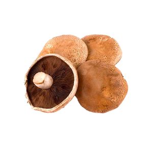 Champiñón portobello setas doradas orgánico x350gr