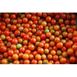 Tomate cherry x 500gr