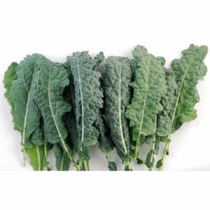 Col Rugosa x 300gr