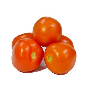 Tomate chonto