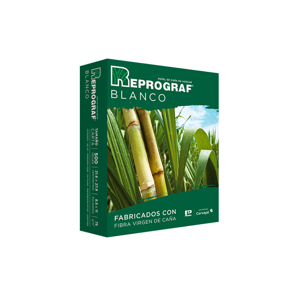 Resma Reprograf tamaño carta x500 hojas