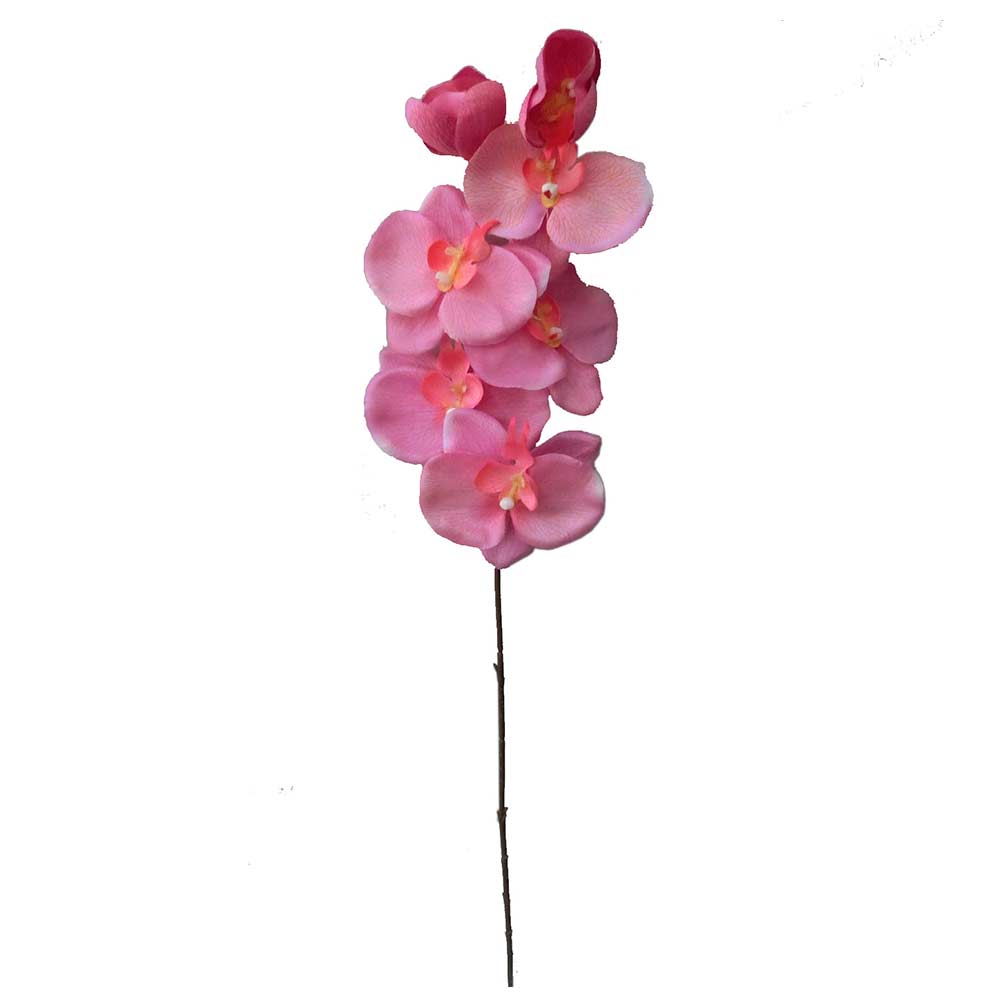 Orquidea Tl 73Cm Fucsia Krea