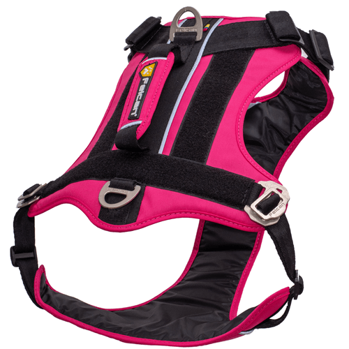 Arnes Aventurero Fucsia Para Perro S