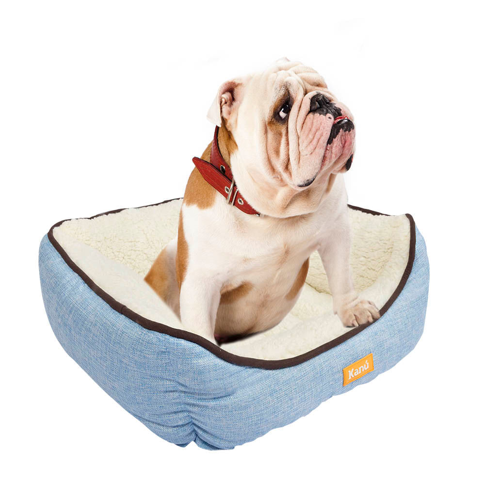 Cama Azul Kanu Rectangular para todas MEDIANA(53X63X25cm)