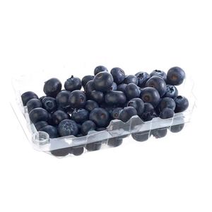 Arándanos Orgánico Cielo Azul x250gr