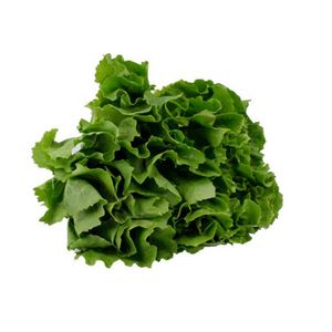 Lechuga Escarola Ecológica x120gr