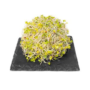 Brotes Brócoli x30gr