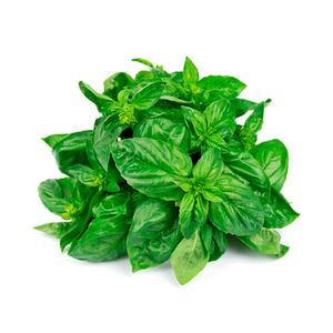 Albahaca genovesa x50gr