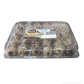Huevos de codorniz Dórnix x24und