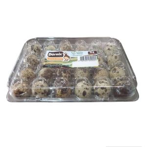 Huevos de codorniz Dórnix x24und