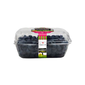 Arándanos Cuisine&Co x500gr