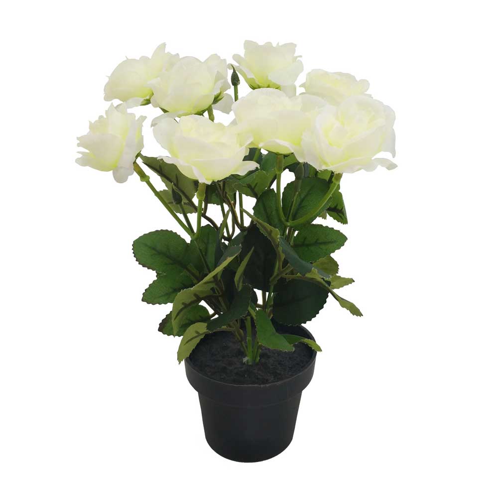 Flores En Maceta D3 Krea
