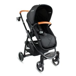 Coche Tipo Moises Alfa Bebesit Negro