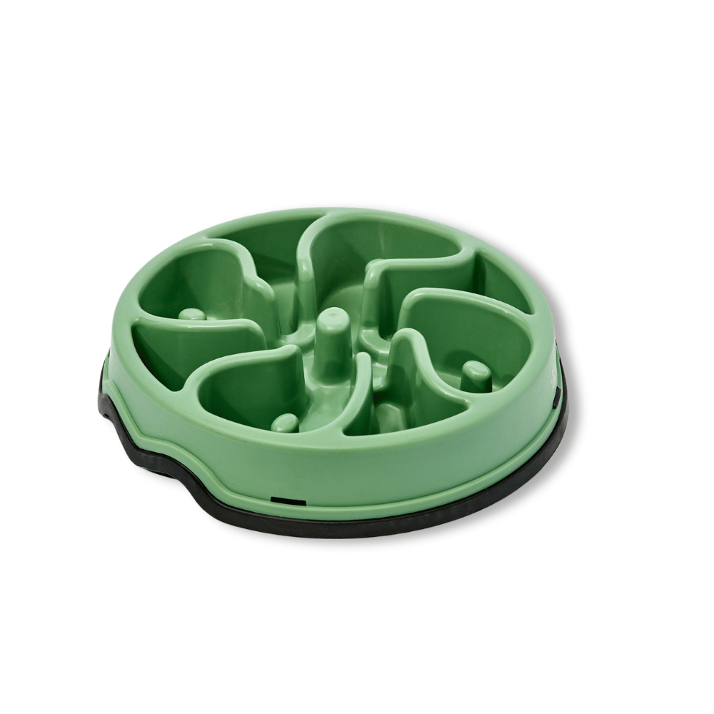 Kanu Pet Comedero Circular Antirreflejo Verde Para Perro y Gato