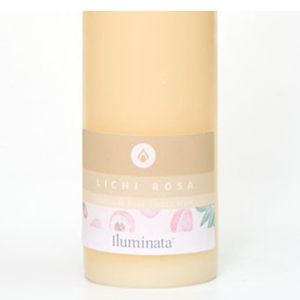 Vela Iluminata Pilar Lichi Rosas 140grs